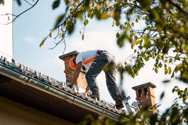 Best Roof Gutter Cleaning  in Fritz Creek, AK