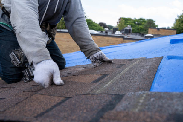 Best Residential Roof Replacement  in Fritz Creek, AK