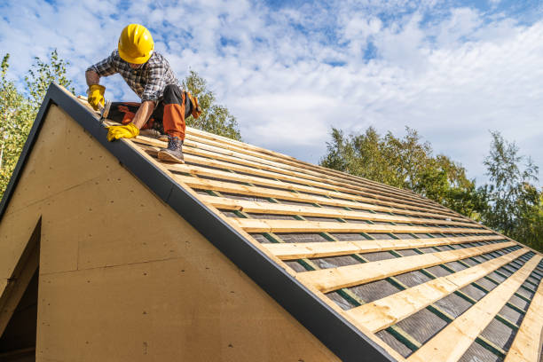 Best Roof Maintenance Services  in Fritz Creek, AK