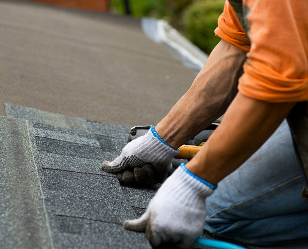 Best New Roof Installation  in Fritz Creek, AK