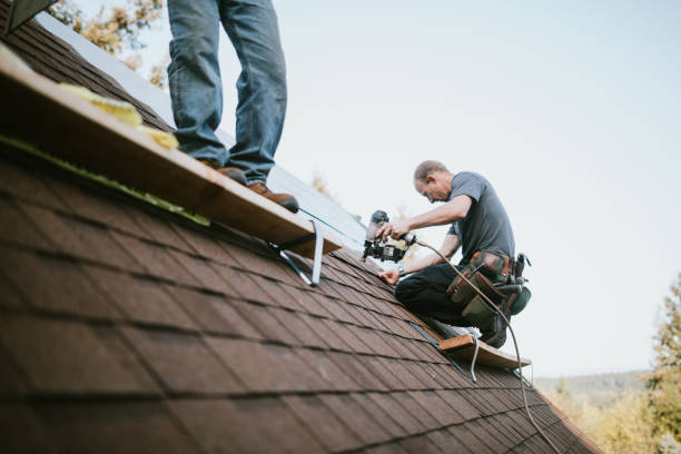 Best Flat Roof Repair Services  in Fritz Creek, AK