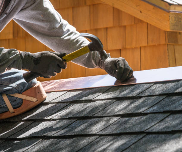 Roof Gutter Cleaning in Fritz Creek, AK